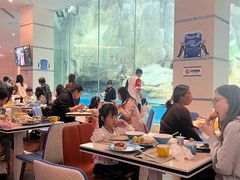 -帝企鹅自助餐厅•儿童岛•真企鹅(长隆企鹅酒店)