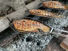 -大本营竹筒饭