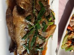 -宾朋海鲜饭庄(兴海路店)