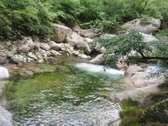 -青峰峡国家森林公园