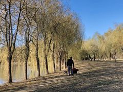 -东坝千亩湖公园