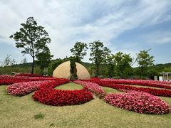 -苏州上方山国家森林公园