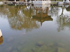 -西安青龙寺遗址景区