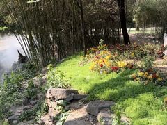 -淄博聊斋城景区