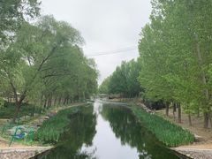 -大望京公园