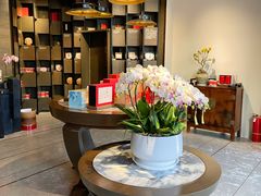 -王德传茶庄(上海新天地店)