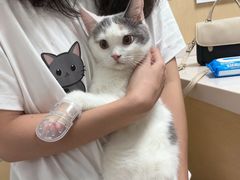 -宠颐生猫科·内科皮肤科(西平世纪城店)