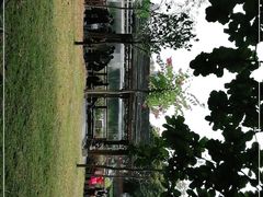 -荔湾湖公园