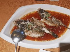 -七仙岭君澜度假酒店·桃源小馆中餐厅