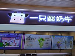 -一只酸奶牛(时代天街A馆店)