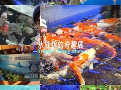 -太平洋海底世界