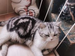 -小时光咖啡馆(开森度假森林店)