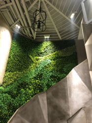 点击看大图 -雅曼妮spa美容养生