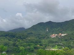 -深圳仙湖植物园