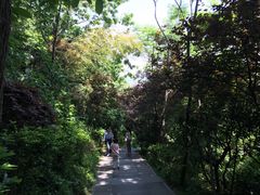 -上海佘山国家森林公园西佘山园