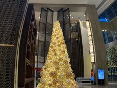 -舟山希尔顿酒店