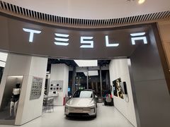-TESLA 特斯拉(广州天环广场体验店)