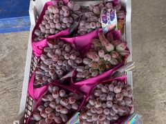 -马陆小张葡萄园农家乐