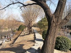 -元大都城垣遗址公园