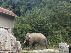 -宁波野生动物园