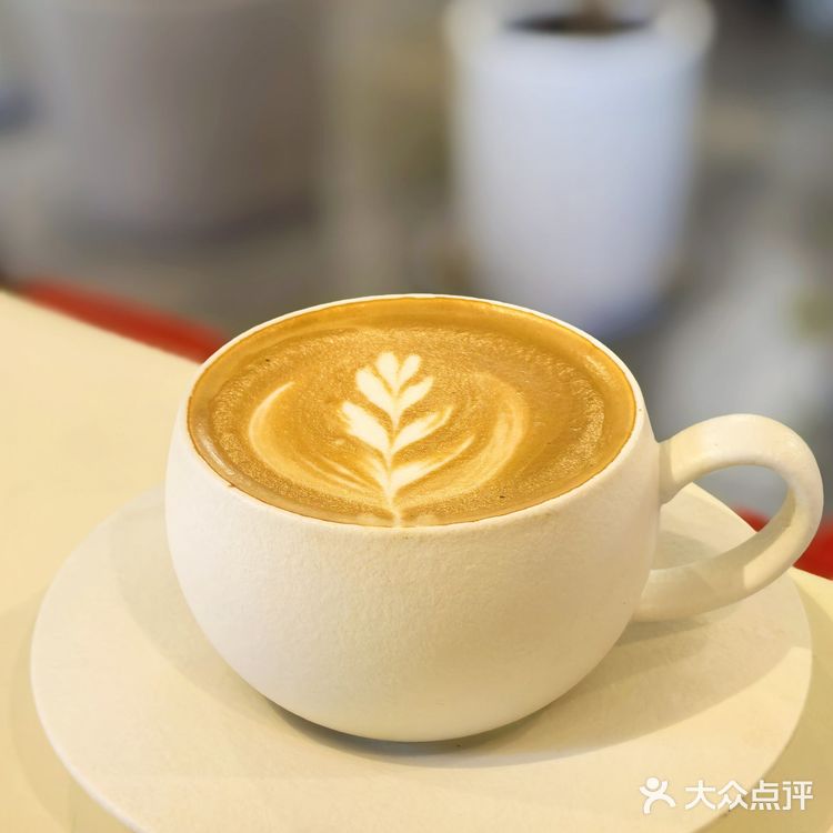 📌梧桐树下的咖啡☕｜不光香还超级浪漫