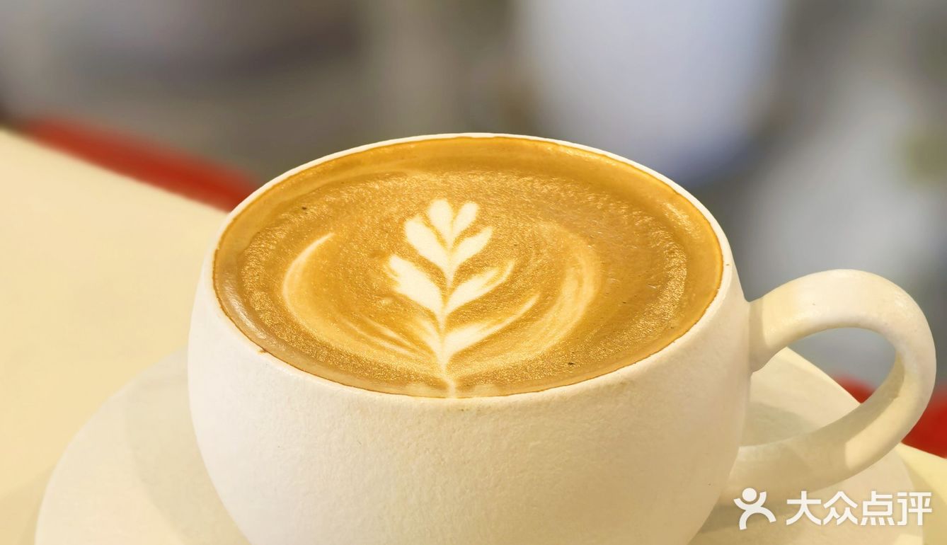 📌梧桐树下的咖啡☕｜不光香还超级浪漫