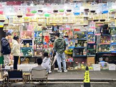 -溪岸路花鸟市场