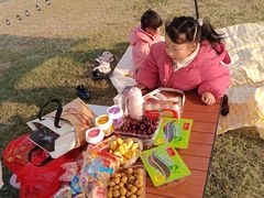 -舜华临武鸭(岳阳东站)