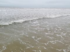 -日照海滨国家森林公园