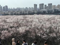 -明秦王墓遗址