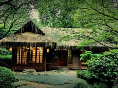 -中国茶叶博物馆(双峰馆区)