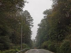 -铁山坪森林公园