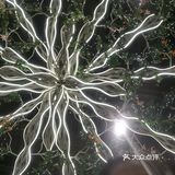 湖锦酒楼的紫苏牛蛙