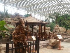 android_upload_pic-龙达温泉生态城