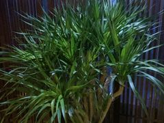 -益健·足疗汗蒸SPA(芙蓉广场店)