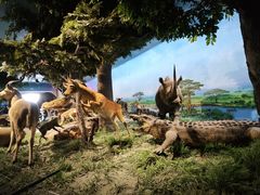 -国家自然博物馆