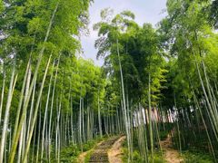 -山沟沟景区