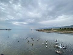 -青海湖国家重点风景名胜区