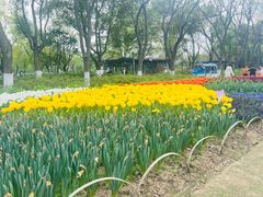 -玄武湖景区-情侣园游乐场