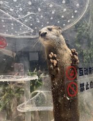 -Zoolung Zoolung动物主题公园(海信广场店)