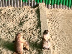 -杭州野生动物世界