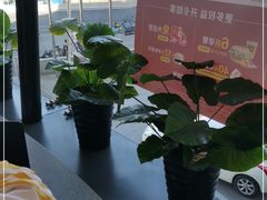 -麦当劳(展览路店)