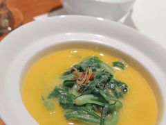 -觀芷隐轩