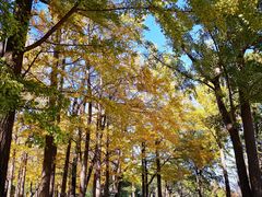 -阳台山自然风景区