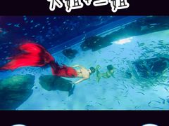 景点-上海海昌海洋公园