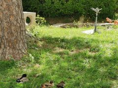 -香山公园-东宫门售票处