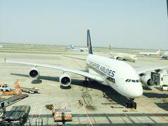 -新加坡航空公司(ION)