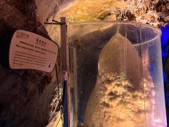 -兰溪地下长河