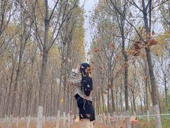 -汉长安城未央宫国家考古遗址公园