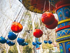 -上海共青森林公园